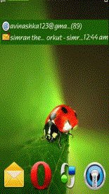 game pic for Ladybug by Pizero..nice green